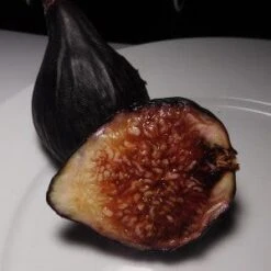 Violette De Bordeaux Fig (Negronne) -Plant Discount Store followingVdBfig