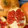 Sweet Pomegranate -Plant Discount Store sweet 1