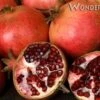 Wonderful Pomegranate -Plant Discount Store wonderful 1